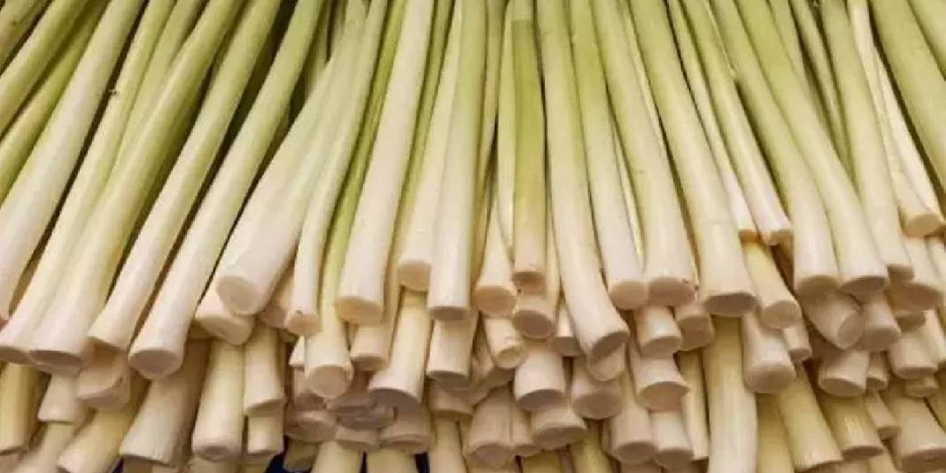 Asırlar önce İbn-i Sina öneriyordu, tüm dünyaya yayıldı! Vücudu resetliyor, kalbi iyileştiriyor: Türkiye’de kıymeti bilinmiyor 6